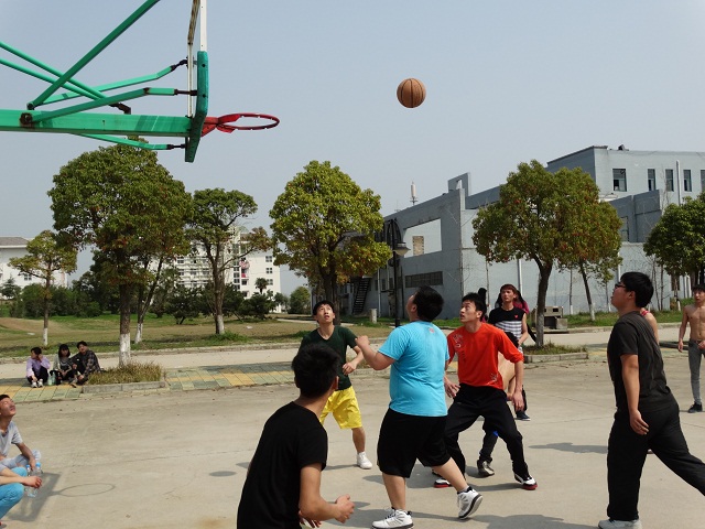 社会事业系举办“我身边的运动美”随手拍微博上线活动